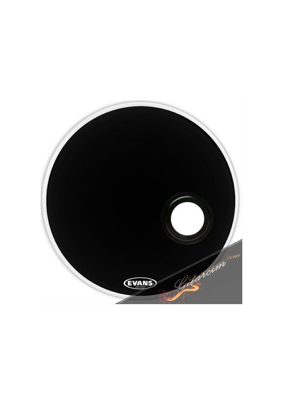 Evans Bd20g2cw.