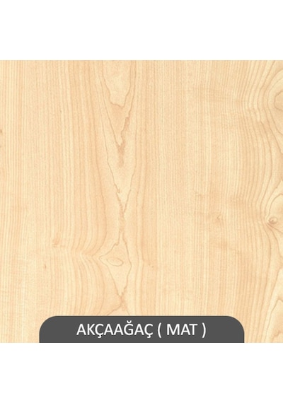 Rafkestir Kule Duvar Rafı Akçaağaç ( Mat )