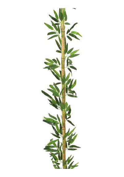 Rüzgar Yapay Çiçekçilik 190 Cm 5 Adet Bambu Yeşil