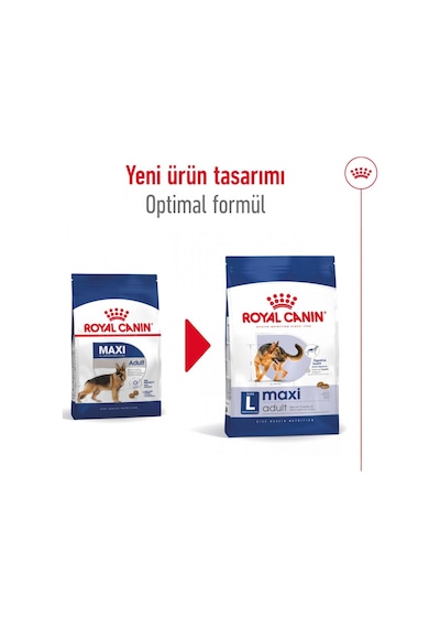 Royal Canin Maxi Adult Kümes Hayvanlı Büyük Irk Yetişkin Köpek Maması 15 KG