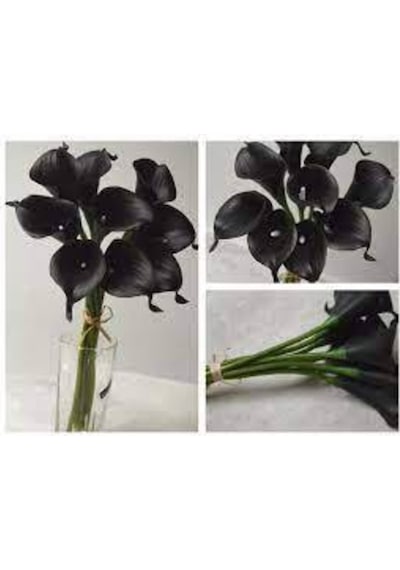 20 Adet Tohum Siyah Calla Lily Çiçek Tohumu Afrika Çöl Çiçeği Calla Lily Tohumlu