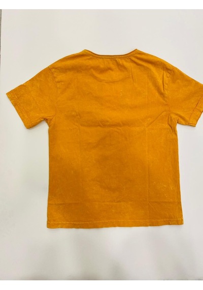 Richie Royce Çocuk Yıkamalı Sıfır Yaka Pamuklu Tshirt-6949-hardal Hardal