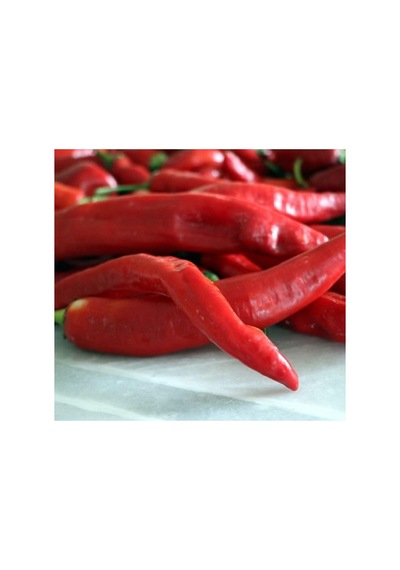 Hatay Acı Biber Tohumu - 5 Gram