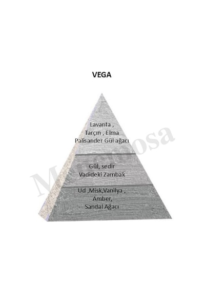 Bargello Vega Unisex Parfüm Zenıth Edition 90 Ml Woody - Mnms90mlvega Aromatik