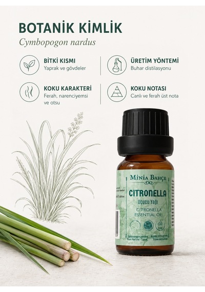 Minia Bahçe Bitki Ve Sanat Atölyesi Citronella Uçucu Yağı Saf ve Katkısız Bitkisel Uçucu Yağ 10 ML