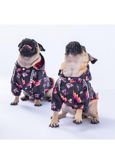 Pawstar Cool Yağmurluk Küçük Ve Orta Irk