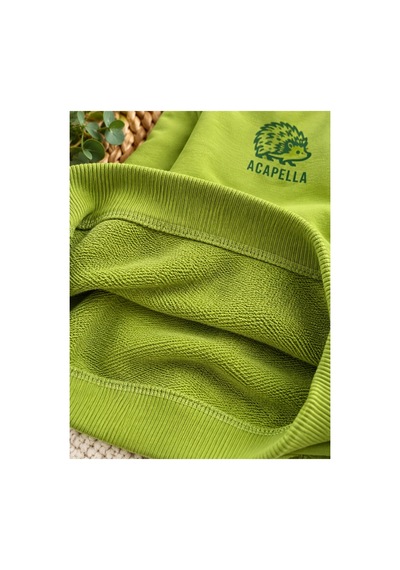 Uğur Bebe Yeşil Üç İplik Şardonsuz Erkek Çocuk Eşofman Takımı Rahat Kesim, Bağcıklı, Günlük Spor Çocuk Takımı Kirpi Baskılı Yeşil Yeşil Uğur Bebe Yeşil Üç İplik Şardonsuz Erkek Çocuk Eşofman Takımı Rahat Kesim, Bağcıklı, Günlük Spor Çocuk Takımı Kirpi Baskılı Yeşil Yeşil