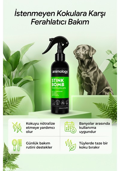 Animology Stink Bomb Kötü Koku Giderici Yetişkin Köpek Bakım Ve Tarama Spreyi 250 Ml