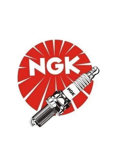 Buji Honda Cbf 150 Standart Ngk Orjinal