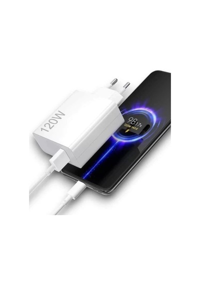Home 120w Şarj Aleti