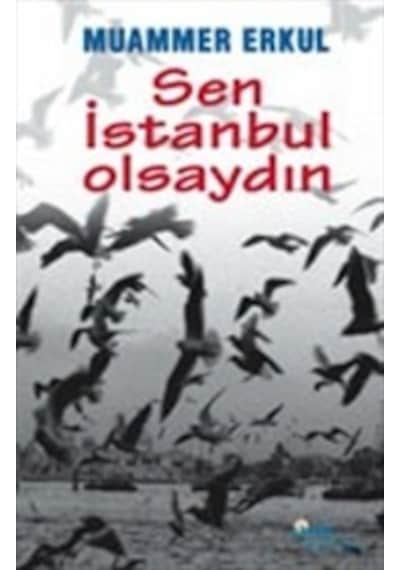 Sen Istanbul Olsaydın