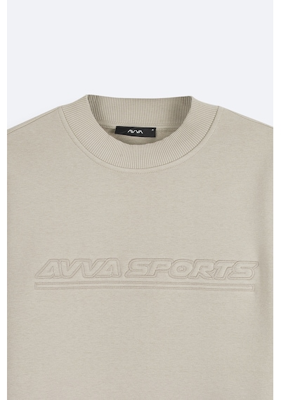 Avva Erkek Taş Bisiklet Yaka 3 İplik Şardonlu Baskılı Regular Fit Sweatshirt A42y1306