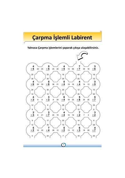 Matematik Öğreten Labirent Kitap Seti (5 Fasikül Kitap)
