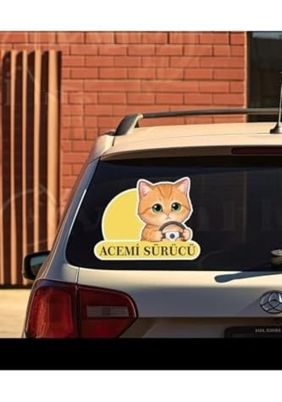 Parti Tasarla Acemi Sürücü Sevimli Kedi Araba Etiketi & Sticker Çok Renkli "