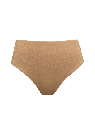 DeFacto Regular Fit Parlak Kumaş Yüksek Bel Bikini Altı-Fall in Love C3180AX24SMYL275