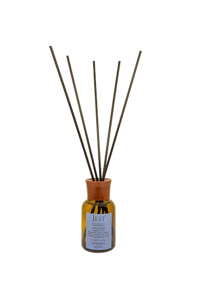 Jest Okyanus Ortam Kokusu 50 ML