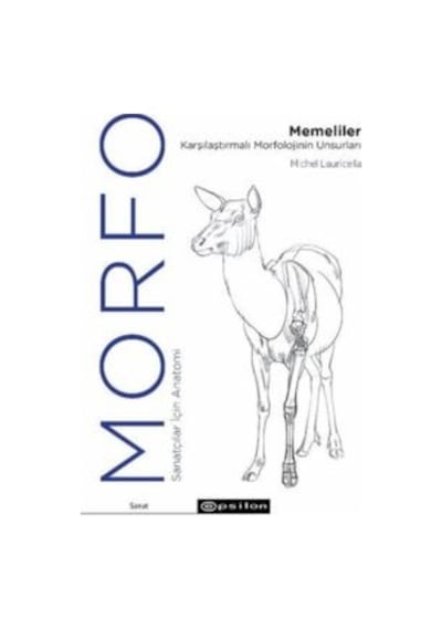 Morfo: Memeliler Karşılaştırmalı Morfolojinin Unsurları - Sanatçılar İçin Anatomi Epsilon Yayınevi Michel Lauricella