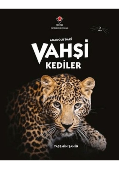Anadolu'daki Vahşi Kediler - Yqbx-665527