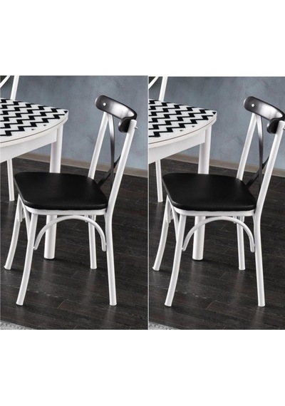 Erezogullari_Mobilya Bahar Mutfak Bahçe Cafe Sandalyesi 2 Li Set