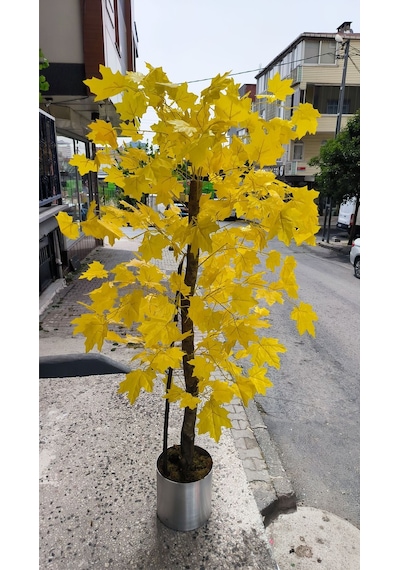 Rüzgar Yapay Çiçekçilik 180 Cm Sarı Çınar Ağacı Sari