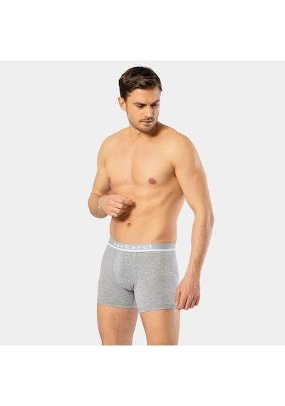 Cacharel Erkek Likralı Boxer 1315/gri Gri