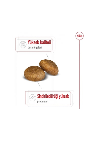 Royal Canin Maxi Adult Kümes Hayvanlı Büyük Irk Yetişkin Köpek Maması 15 KG