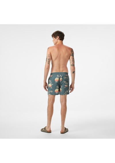 Billabong Vacay Lb Erkek Yeşil Deniz Şortu Ebyjv00144