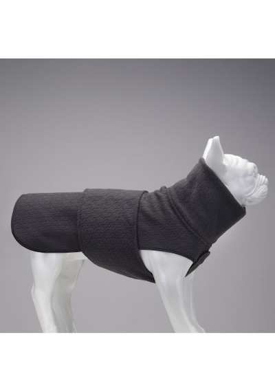 Ashen Grey Küçük, Orta Ve Büyük Irk Köpek Poları