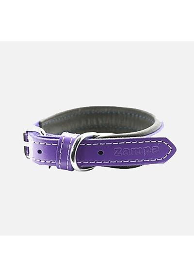 Zampa Köpek Boyun Tasması Mor 47 Cm