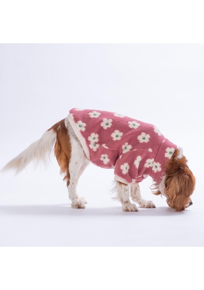 Avenra Bloom Ceket Çiçek Desenli Batik Kedi Köpek Ceketi Kedi Köpek Kıyafeti Kedi Köpek Elbisesi