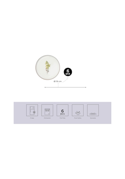 Moderna 6 Kişilik 19 Cm Pasta Takımı Comfort Çok Renkli
