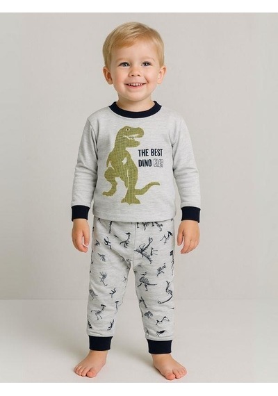 Zekids Erkek Çocuk Dinozor Baskılı Uzun Kollu Pijama Takımı-16047 Grı
