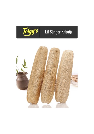 Lif Sünger Kabak Tohumu / 20+ Adet Tohum