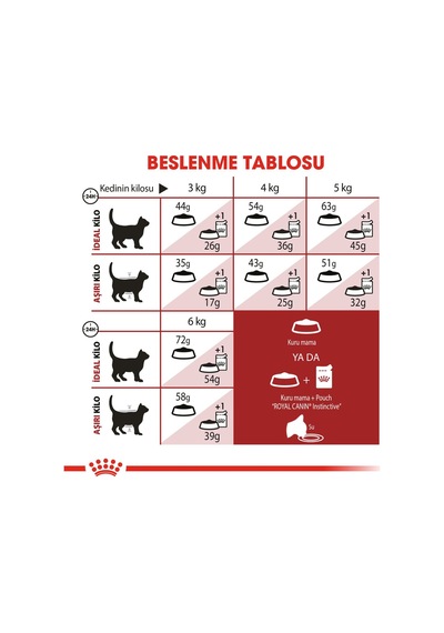 Fit32 2 Kg + Sensory Smell Gravy 85g 2 Adet Hediye