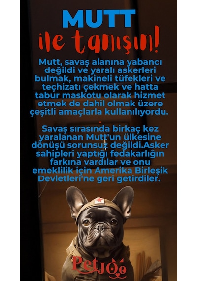 Petjoo 10.Mutt Kırmızı-Mavi Qr'lı Köpek Künyesi