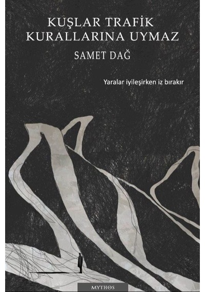 Kuşlar Trafik Kurallarına Uymaz / Samet Dağ