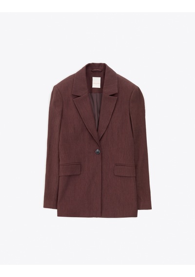 Pierre Cardin Kadın Kahverengi Ceket 50324082-vr029