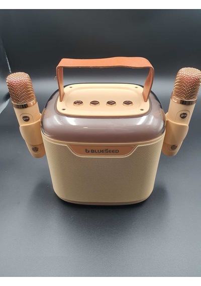 Bs-601 Bluetooth Wıreless Speaker & Karaoke Mıcrophones 13w - Krem