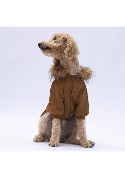 Camel Charles Büyük Irk Köpek Mont Köpek Yağmurluk Köpek Kıyafeti Köpek Elbisesi