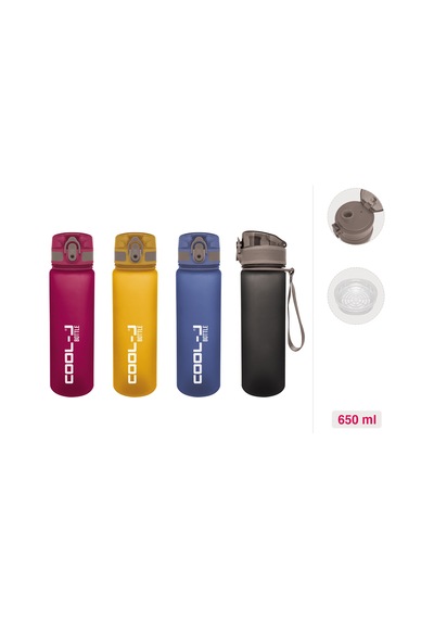 Gıpta Matara Kilitli 650 Ml Pctg 4 Renk Mıx K757800 Çok Renkli