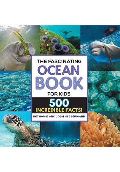 The Fascinating Ocean Book For Kids 500 Incredible Facts - Fascinating Facts Ciltli Callisto Kids