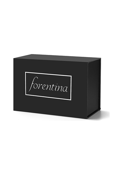 Forentina Metal Bayan Kol Saati - Zirkon Bileklik Set Ps1796