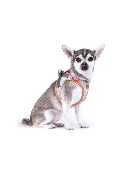 Alpine Curli Clasp Vest Harness Light Gray Xs