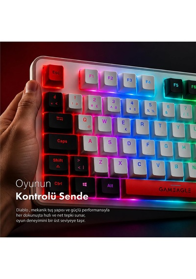 Troya Mix Rgb Mekanik Oyuncu Klavyesi, Kablosuz 3 Mod, Red Switch, Full Anti-ghosting, 4000 Mah, Türkçe Q, Numpad Kar
