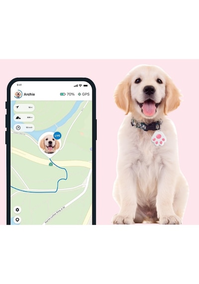 Zvnm Mobil Uygulamalı Evcil Hayvan Takip Cihazı Zcv12