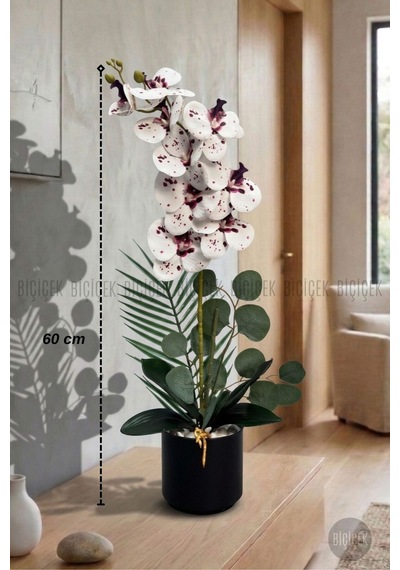 Yapay Phalaenopsi S Beyaz Benekli Orki De 60 Cm Siyah