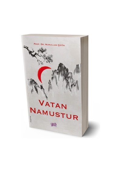 Amerikan İslamcılığı - Nurullah Çetin - Yade Kitap