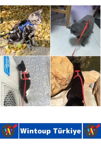 Evcil Hayvan Pet Rahatsız Etmez Ayarlanabilir Tasarım Kaçış Önleme Çok Şık Kedi Boyun Göğüs Tasması