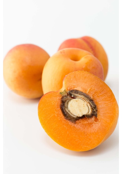 Intense Natural Saf ve Doğal Apricot Kernel Carrier Oil Kayısı Çekirdeği Yağı Soğuk Sıkım 20 ML Intense Natural Saf ve Doğal Apricot Kernel Carrier Oil Kayısı Çekirdeği Yağı Soğuk Sıkım 20 ML