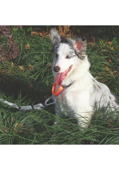 M-pets Wıld Jungle Collar M Genel